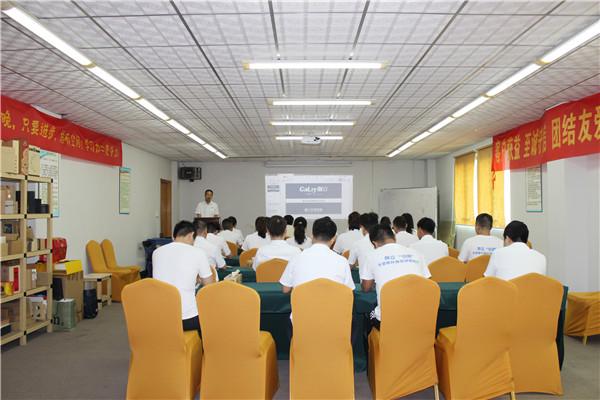 伽立集團(tuán)銷售會